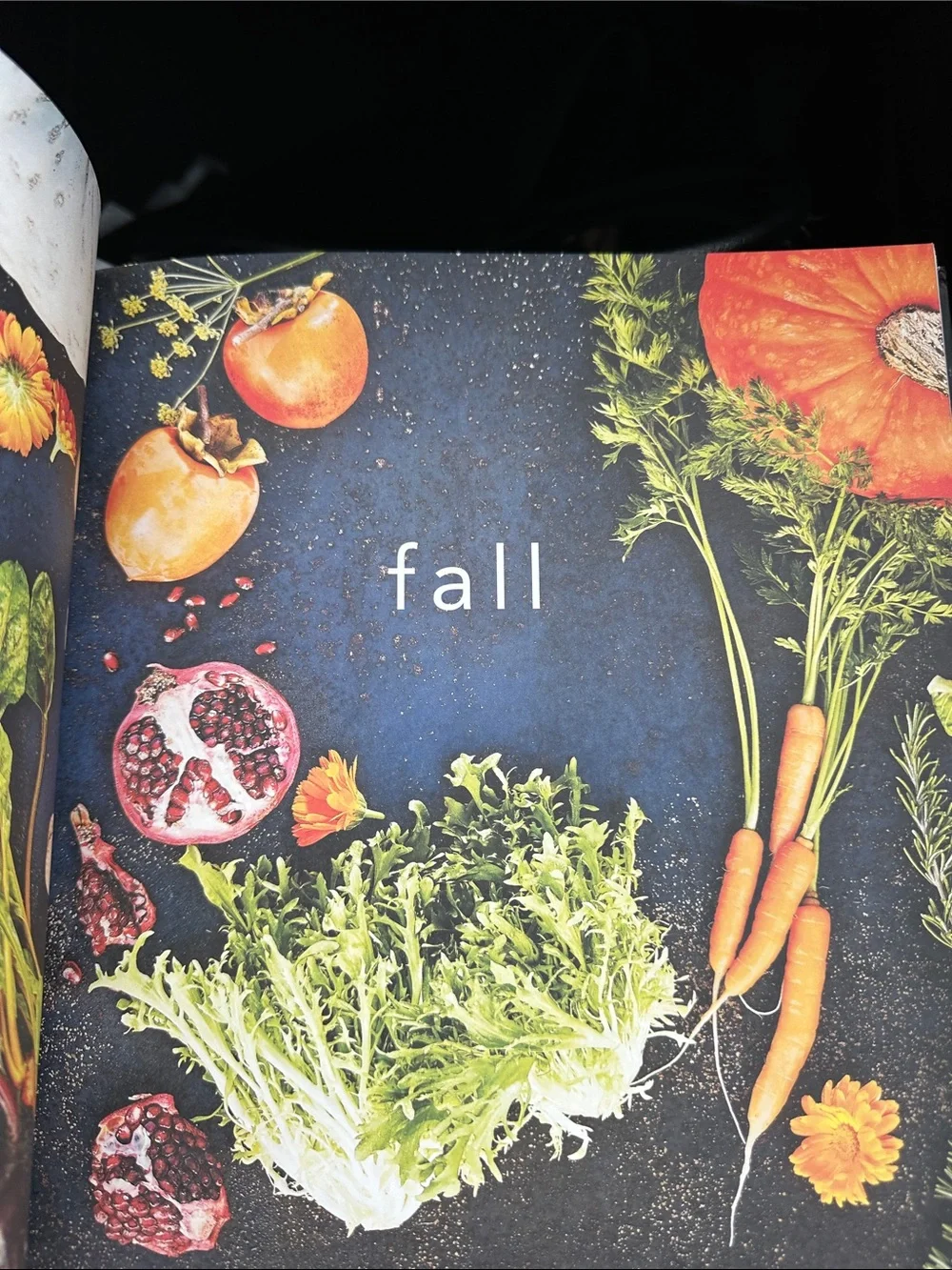 Season Cookbook by Justin W. and Tracey Shepos Cenami - Black Cover